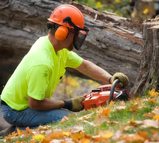 tree services Cadillac